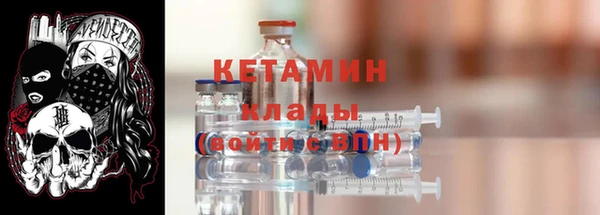 индика Алексин