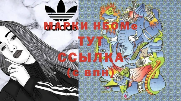 индика Алексин
