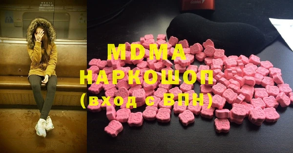 индика Алексин