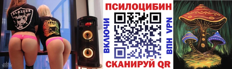 Псилоцибиновые грибы Psilocybe  Бабаево 